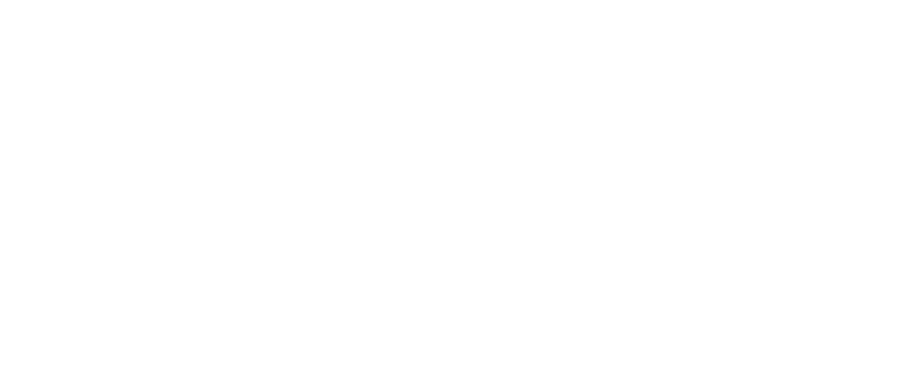Valense, Perfil Comportamental