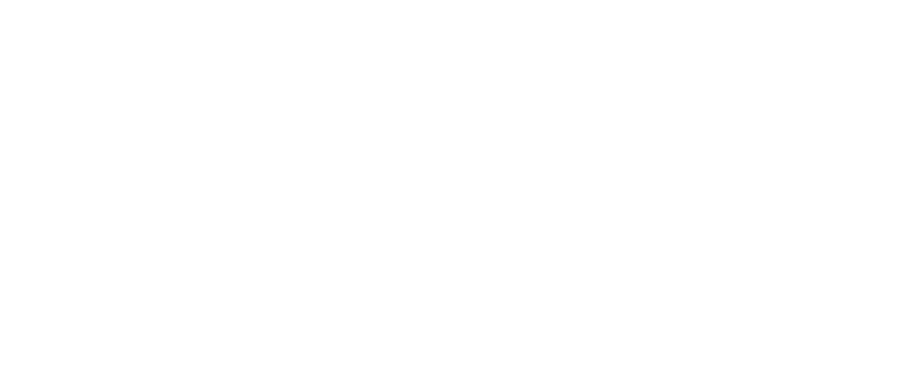 Selo da Mentoria Valense